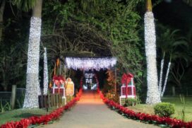 Parte da decoração do município de Guararema foi confeccionada com garrafas PET