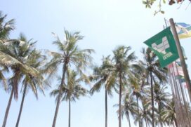 PRAIA. Em Santos, a praia do Gonzaga está entre as praias de Região com bandeira verde