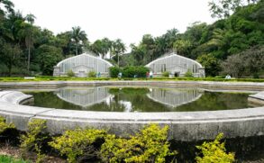 Jardim Bot&acirc;nico