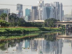 Rio Pinheiros