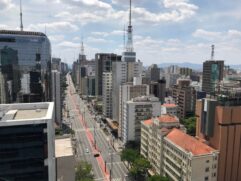 Aos domingos, a Avenida Paulista é uma das principais áreas de lazer da capital e atrai uma multidão de paulistanos
