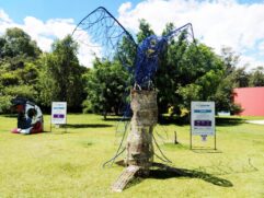 Com entrada gratuita, visitantes podem ver esculturas de arara, macaco, aranha e pássaro, feitas a partir de material reciclado