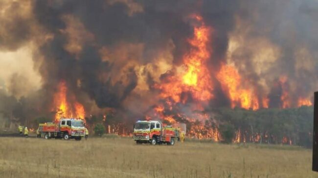 Os incêndios devastaram a Austrália