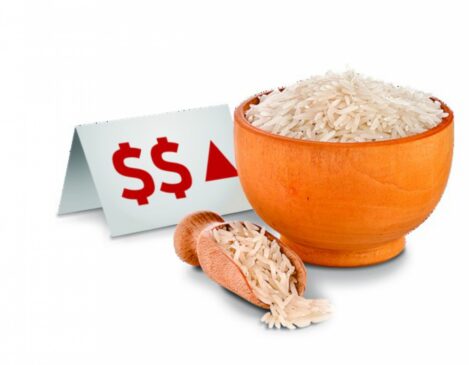 Aumento do arroz