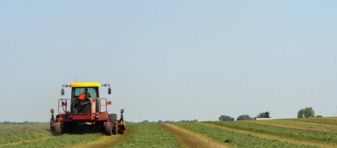 O governo Federal retoma diversos programas de apoio à agricultura familiar e promoção da Reforma Agrária