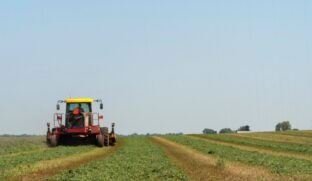 O setor do agronegócio paulista terminou o mês de abril com saldo positivo de empregos
