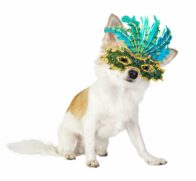 As fantasias precisam ser confortáveis, arejadas e feitas com material que não coloquem a saúde do pet em risco. Fuja de zíper, fitilhos e botões, que podem ser facilmente retirados e engolidos pelo bichinho e evite peças com gliter, purpurina e lantejoul