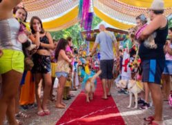A prefeitura de São Sebastião organiza a terceira edição do Carnapet. O evento acontece junto com a matinê animada por marchinhas e haverá sorteio de brindes, além de um concurso de fantasias