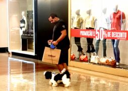 Se estiver em um shopping, antes de entrar em uma loja pergunte se o pet &eacute; bem-vindo, em caso negativo, n&atilde;o insista