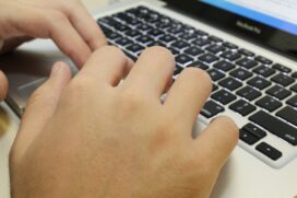 Os servi&ccedil;os s&atilde;o realizados por um chat no portal da Receita Federal e mensalmente s&atilde;o feitos 28.940 atendimentos