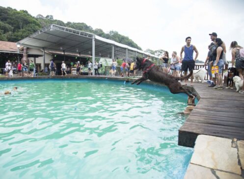 Entre as atrações, há piscina para os animais de estimação, piscina de bolinhas, pedalinho, tirolesa, agility, desfile de fantasias dos pets, feira de adoção, além de exposição de produ