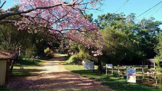 Roteiro do Vinho, em São Roque (SP), é formado por 12 quilômetros e possui cerca de 30 estabelecimentos