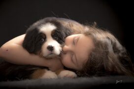 &Eacute; importante salientar que os animais podem ser superf&iacute;cies contaminadas como qualquer outra se estiver em contato com o COVID-19