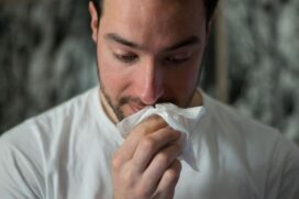 O v&iacute;rus influenza A H3N2