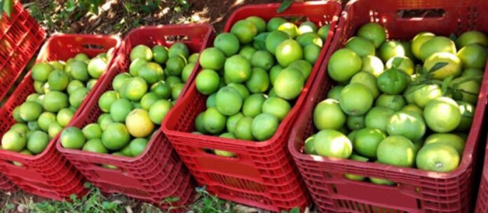 Laranja