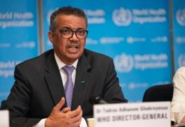 Líder da OMS informou que é preciso preparo, mas risco da doença em humanos é baixo