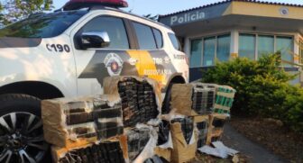 Polícia Rodoviária apreendeu quase 800 tijolos de maconha
