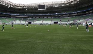 Uma ação da SSP, com a colaboração do Palmeiras, resultou na prisão de 28 criminosos em quatro jogos disputados pelo clube no Allianz Parque