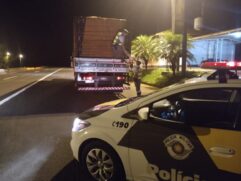 Os policiais encontraram 300 caixas de cigarros no compartimento de carga do caminhão