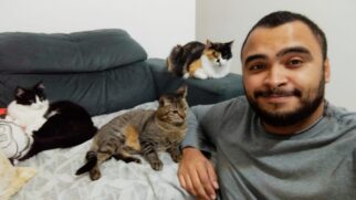 O publicitário Danilo Ferreira, de 26 anos, morador do Tatuapé, está passando essa quarentena na companhia de Verde, Morgana e Wendy, os gatos que estão com ele há três anos. "Nesta quarentena passei por alguns momentos difíceis, não estive com meu pai no