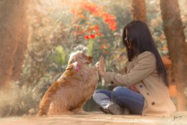 O amor incondicional e puro que os animais expressam pelo dono &eacute; muito genu&iacute;no