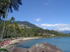 A secret&aacute;ria de Desenvolvimento Econ&ocirc;mico e do Turismo, Bianca Colepicolo, revelou que o meio de den&uacute;ncias online foi adotado "para evitar exposi&ccedil;&atilde;o das pessoas"