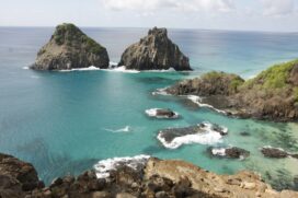 Baia dos porcos Fernando de Noronha