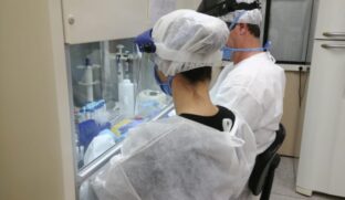 O estudo sugere que a infecção entre humanos ainda é incerta, mas não descarta a possibilidade de transmissão entre pessoas