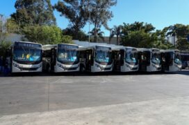 Novos ônibus farão parte da frota da cidade de São Caetano
