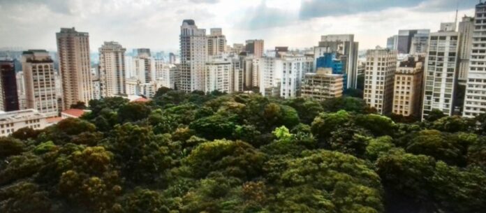 Cidade de São Paulo