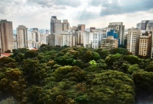 Parque Trianon, na avenida Paulista, região central de São Paulo