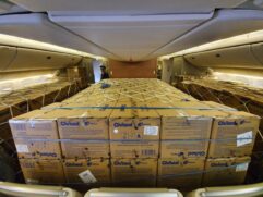 Carregamento de máscaras importadas da China chegou ao Aeroporto Internacional de Guarulhos, nesta terça-feira (7)