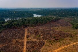 De agosto de 2019 a julho de 2020, os alertas de desmatamento na Amazônia cresceram 34%, segundo dados divulgados pelo Instituto Nacional de Pesquisas Espaciais (Inpe)