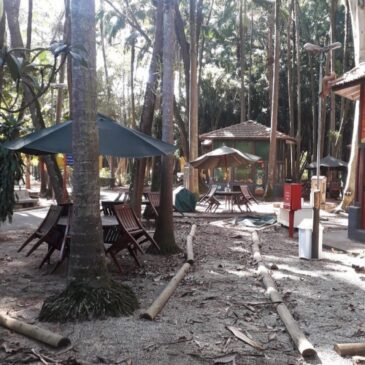 Espaço de Leitura do Parque da Água Branca, após caminhão retirar os livros do local