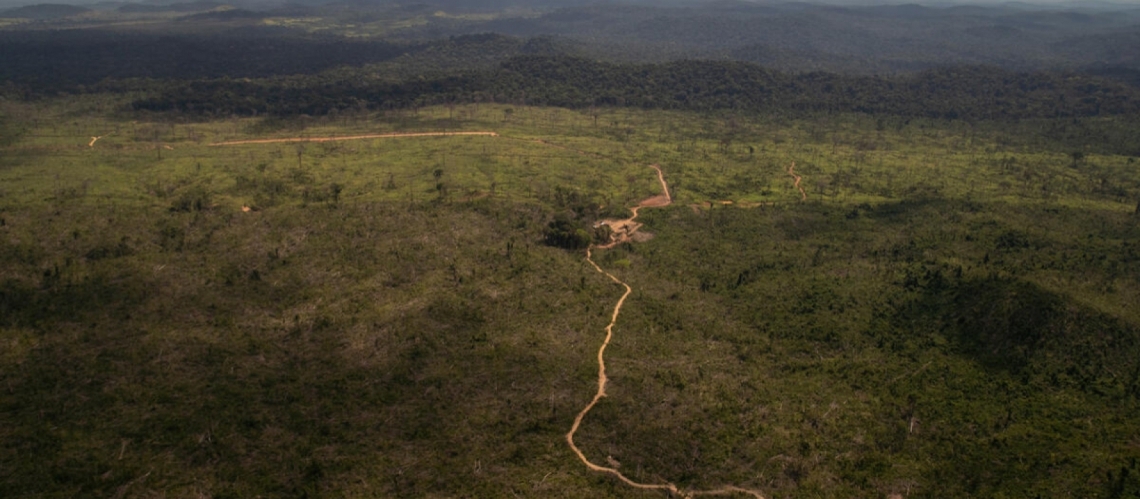 No decreto que reinstituiu o plano de proteção da Amazônia Legal.