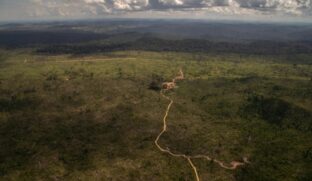Amazônia tem recorde de desmate em abril, com mais 1.000 km2 derrubados