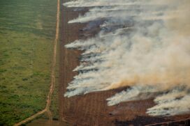 Desmatamento e monitoramento de incêndios na Amazônia em julho de 2020