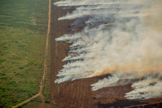 Desmatamento e monitoramento de incêndios na Amazônia em julho de 2020
