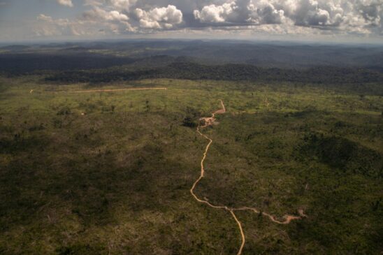 O desmatamento na Amazônia aumentou 25% no primeiro semestre deste ano , segundo o Inpe