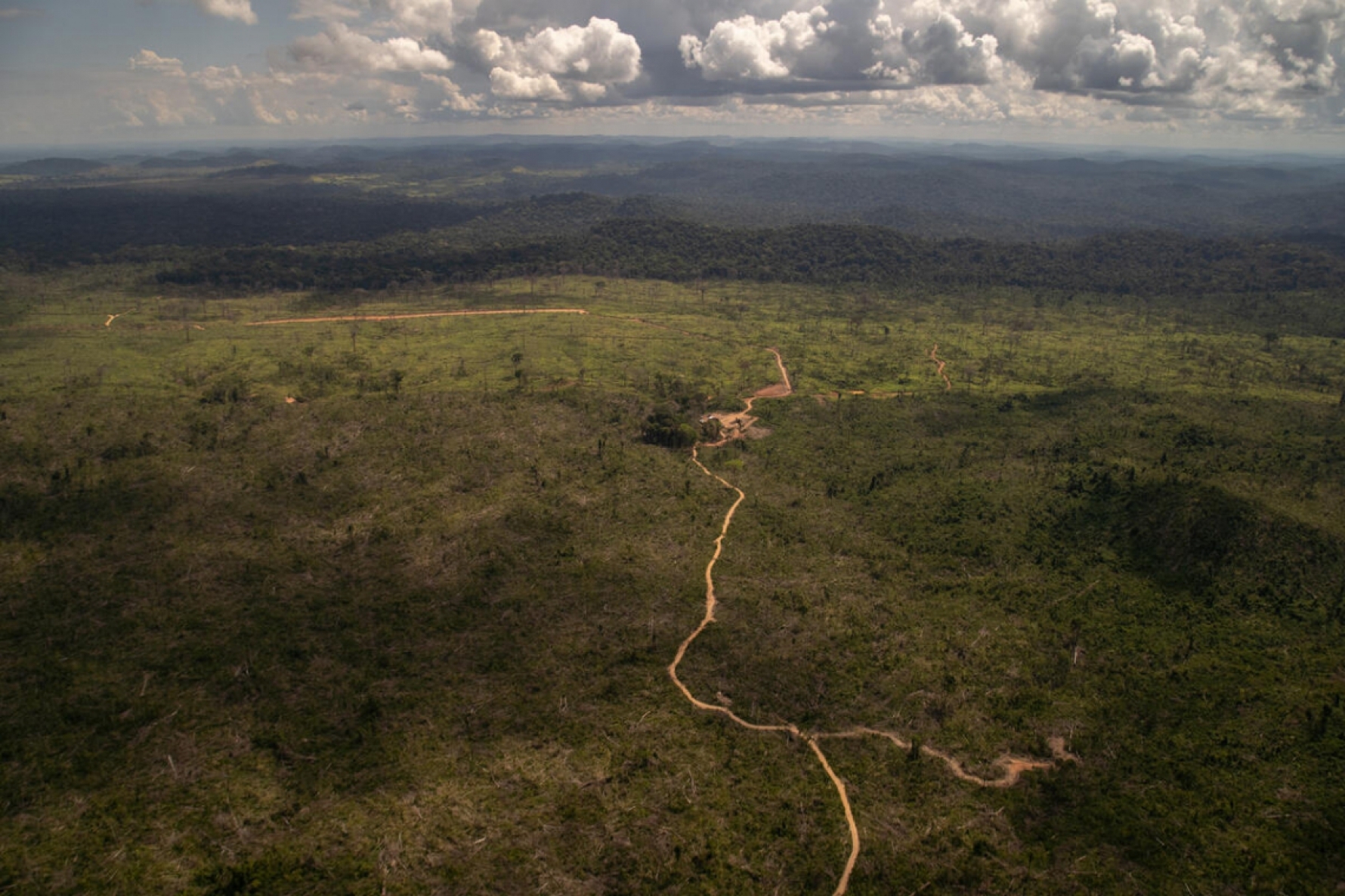 O desmatamento na Amazônia aumentou 25% no primeiro semestre deste ano , segundo o Inpe