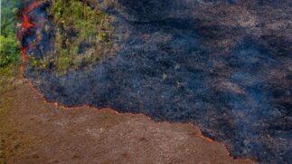 Do valor total, R$ 410 milhões serão usados na Operação Verde Brasil 2, que prevê o combate a crimes ambientais na Amazônia