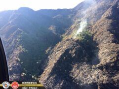 O fogo na Serra Fina teve início na última sexta-feira (17) no território mineiro e atingiu a área paulista