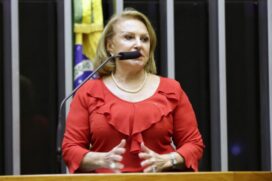 Deputada Elcione Barbalho (MDB-PA), autora do projeto