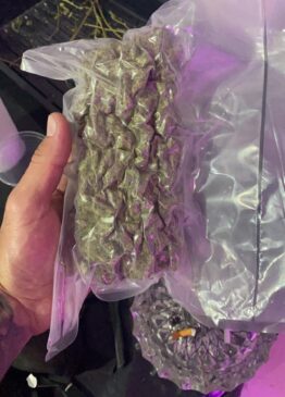 Os três responderão por tráfico de drogas