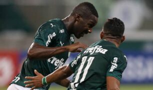 Palmeiras confirmou o favoritismo contra a Ponte Preta: vitória por 1 a 0
