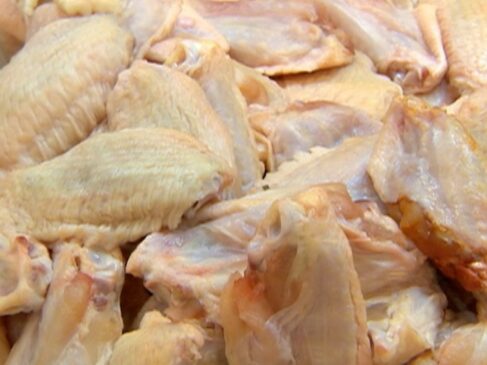 O Brasil é o maior produtor da carne de frango