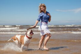 Brincar com animais de estima&ccedil;&atilde;o &eacute; uma parte importante da rotina para mant&ecirc;-los saud&aacute;veis, ativos e felizes