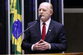 O relator da MP, deputado Vermelho (PSD-PR)