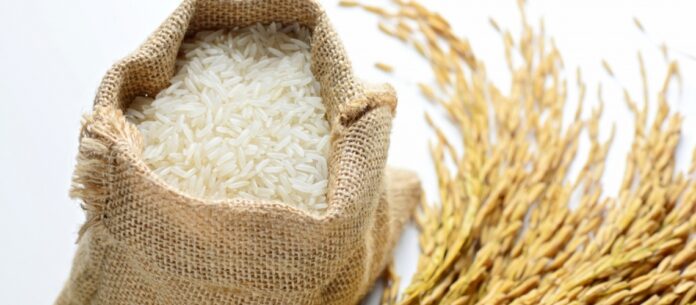 O governo federal está com expectativa de queda de 20% no preço do arroz nas próximas semanas