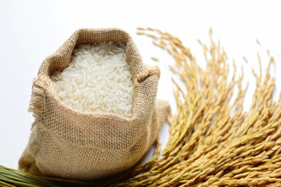 Arroz fundo branco